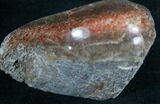 Polished Agatized Dinosaur Bone - Rib Section #7843-1